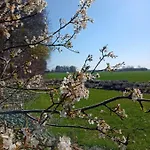 Apartament In Danmark -petersminde Exclusive