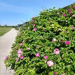 In Danmark -petersminde Exclusive Apartament