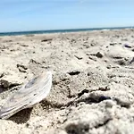 In Danmark -petersminde Exclusive