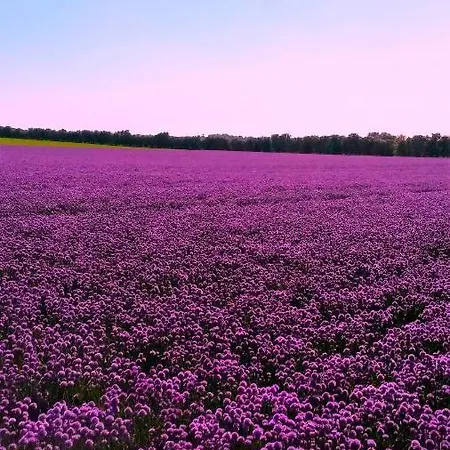 Apartment In Danmark -petersminde Exclusive *