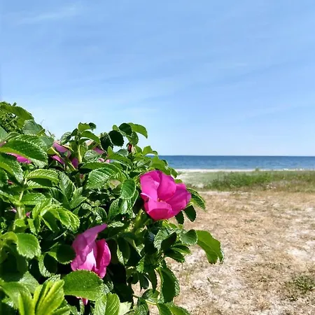In Danmark -petersminde Exclusive * オテルプ