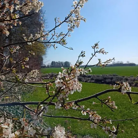 Daire In Danmark -petersminde Exclusive