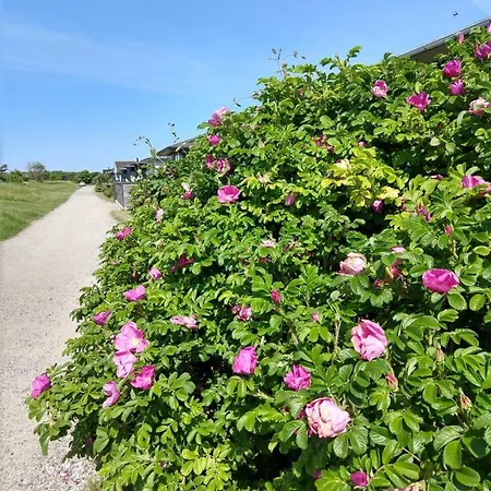 In Danmark -petersminde Exclusive Daire