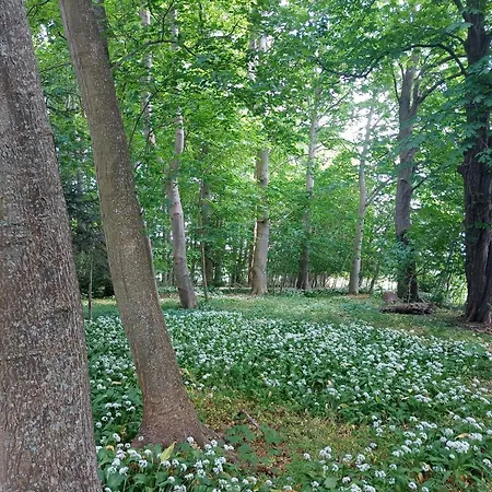 In Danmark -petersminde Exclusive Apartment Otterup